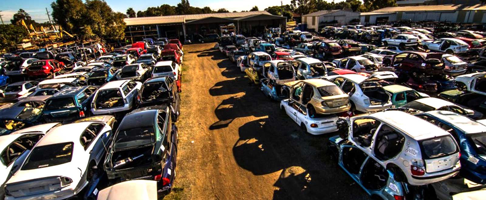Vehicles ready for disposal at wrecking yard
