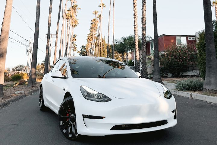 A white Tesla Model 3 is parked on a quiet street lined with tall palm trees and residential houses.